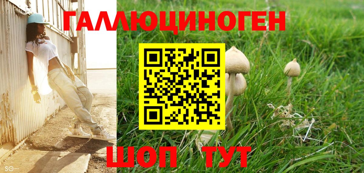 Егорьевск  Галлюциногенные грибы мицелий  Вход с VPN 
