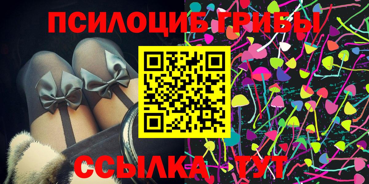 Псилоцибиновые грибы GOLDEN TEACHER Егорьевск